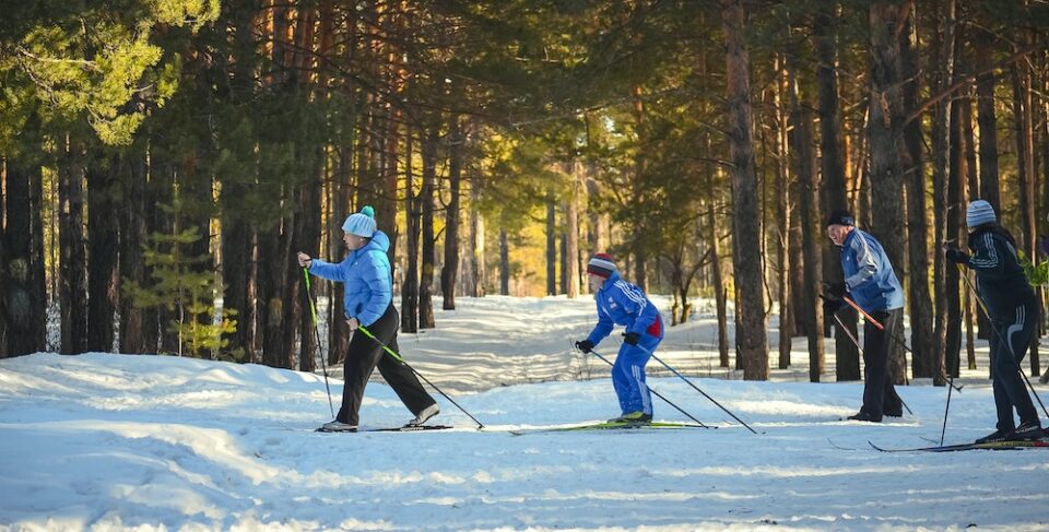 Familj åker längdskidor tillsammans