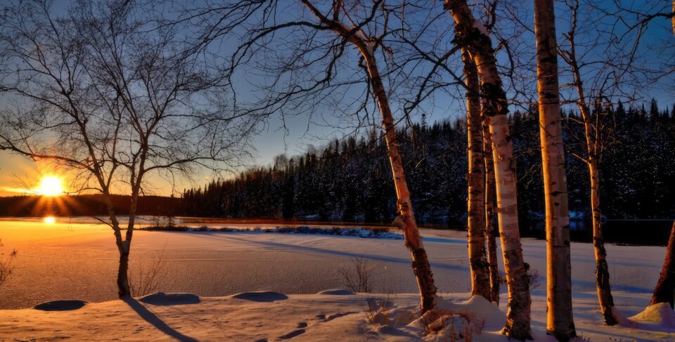 Vinterlandskap i solnedgången